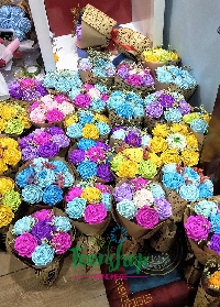 Hoa giấy nhún