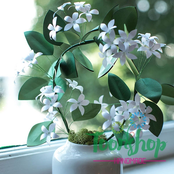Hướng dẫn làm hoa nhài bằng giấy trang trí góc nhà thêm tinh tế