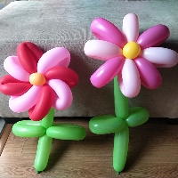 Hướng dẫn làm bông hoa bóng bay siêu đẹp, siêu cute