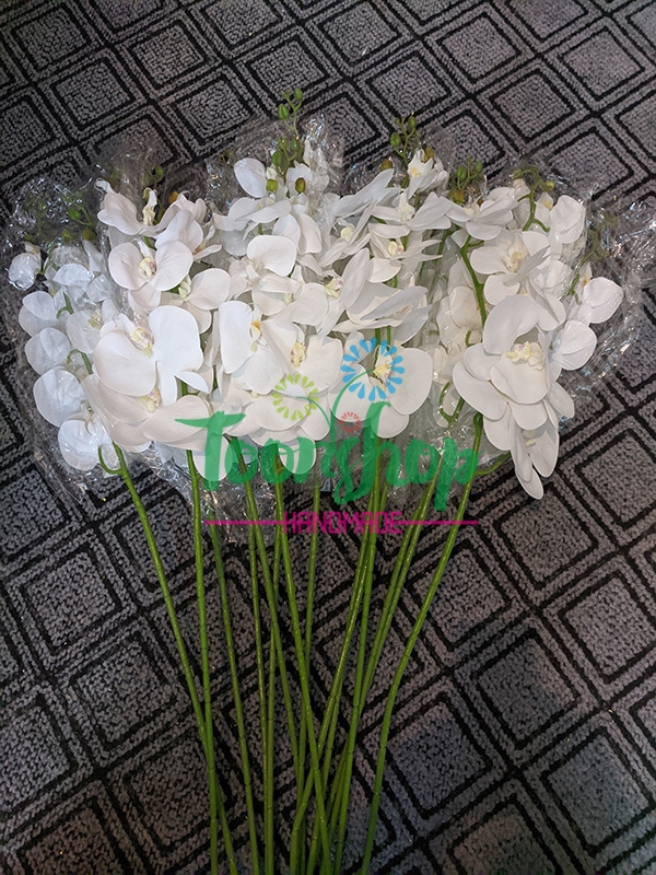 Cành lan hồ điệp 1 nhánh trắng 01