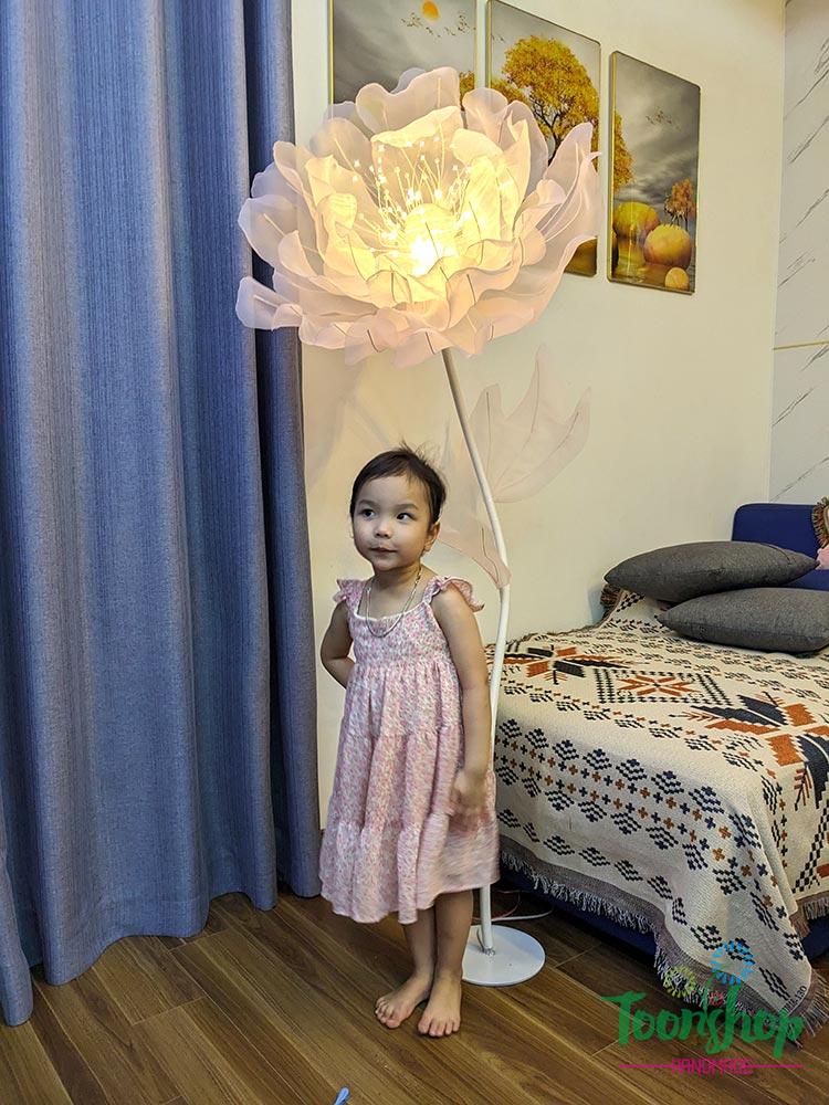 cây hoa voan khổng lồ