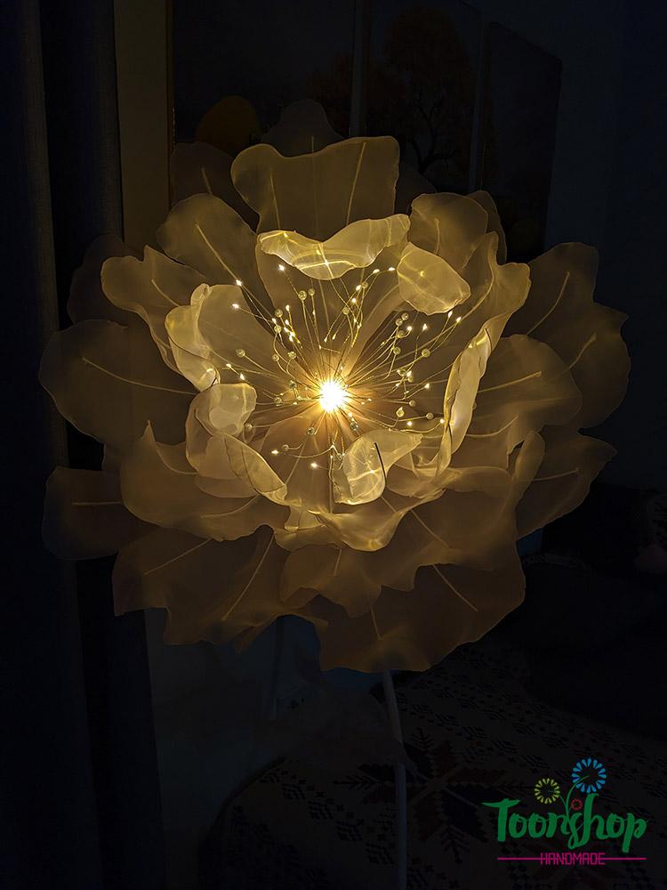 cây hoa vải voan khổng lồ