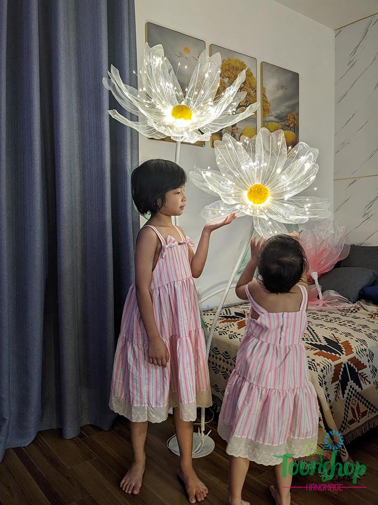 cây hoa voan poppy khổng lồ