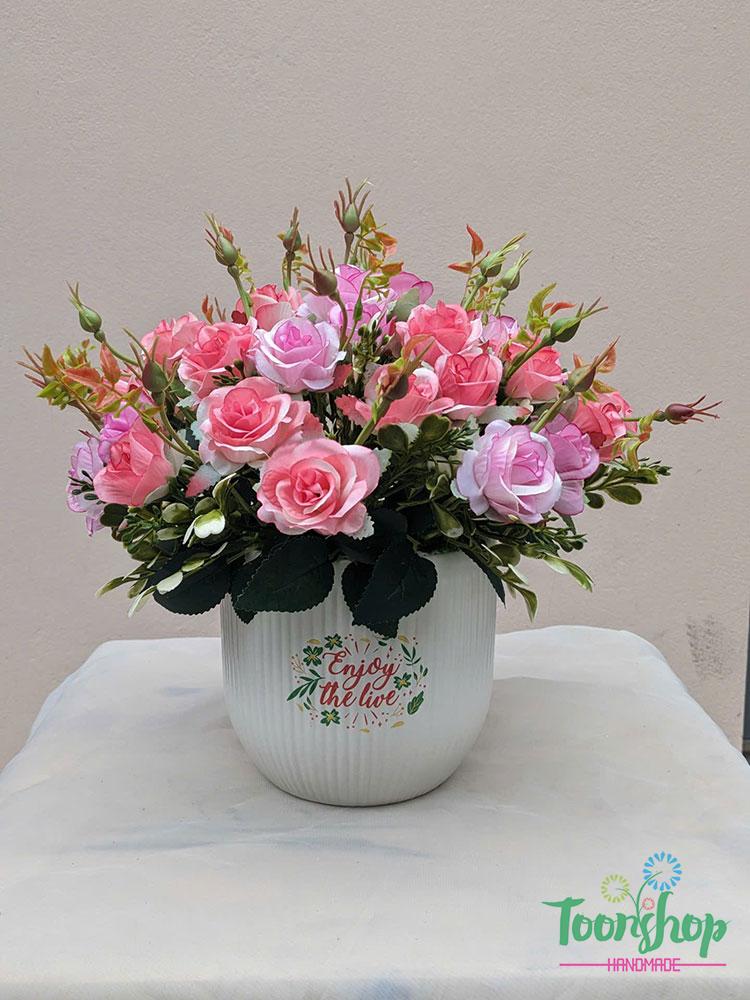 Chậu hoa hồng tỉ muội