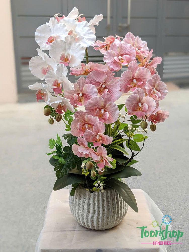 Chậu lan hồ điệp giả 3 cành màu hồng mix trắng