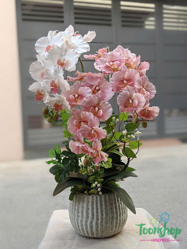 Chậu lan hồ điệp giả 3 cành màu hồng mix trắng