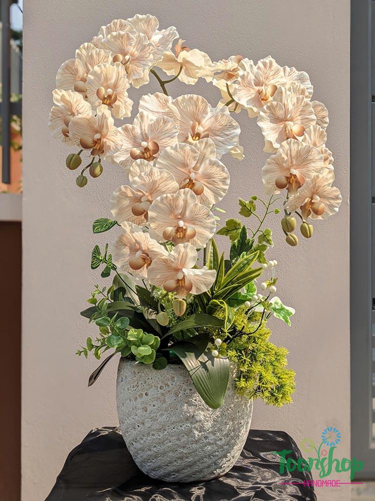 Chậu lan hồ điệp cao su 3 cành màu nâu nhạt