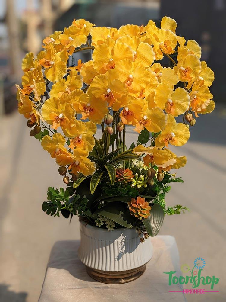 Chậu lan hồ điệp cao su 5 cành màu vàng