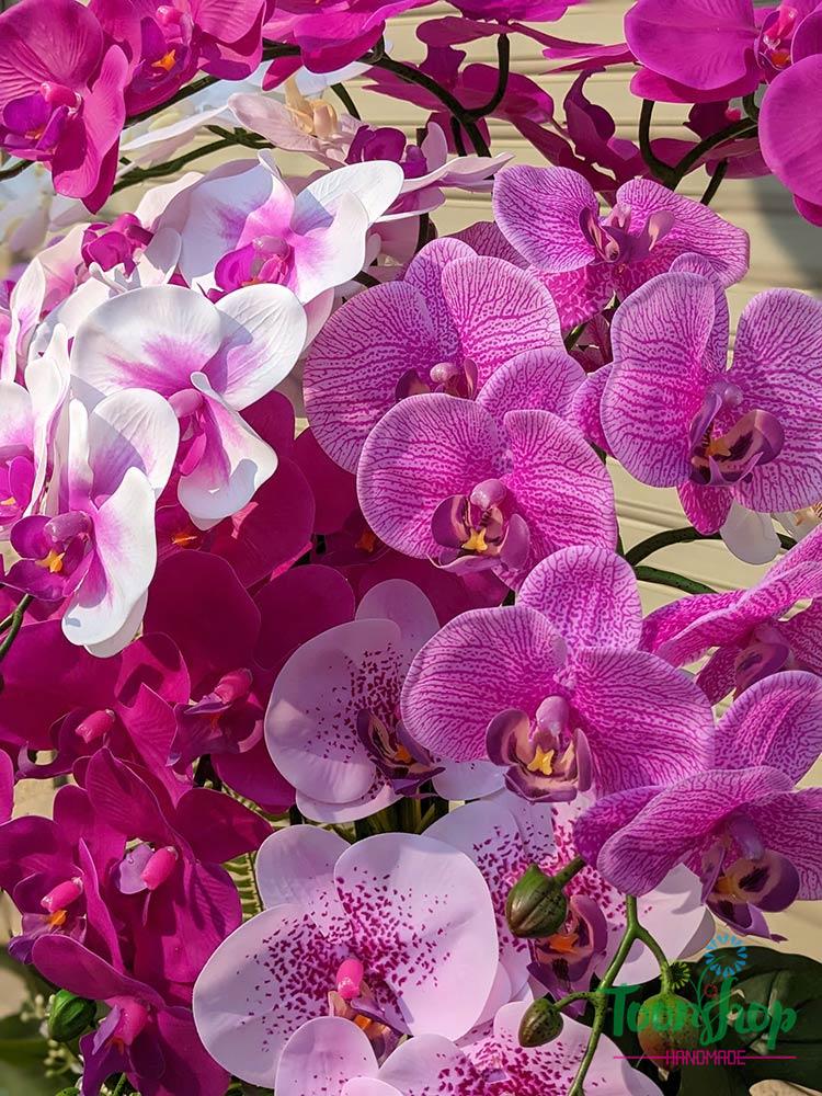 Chất liệu lan cao su non nhập khẩu cao cấp