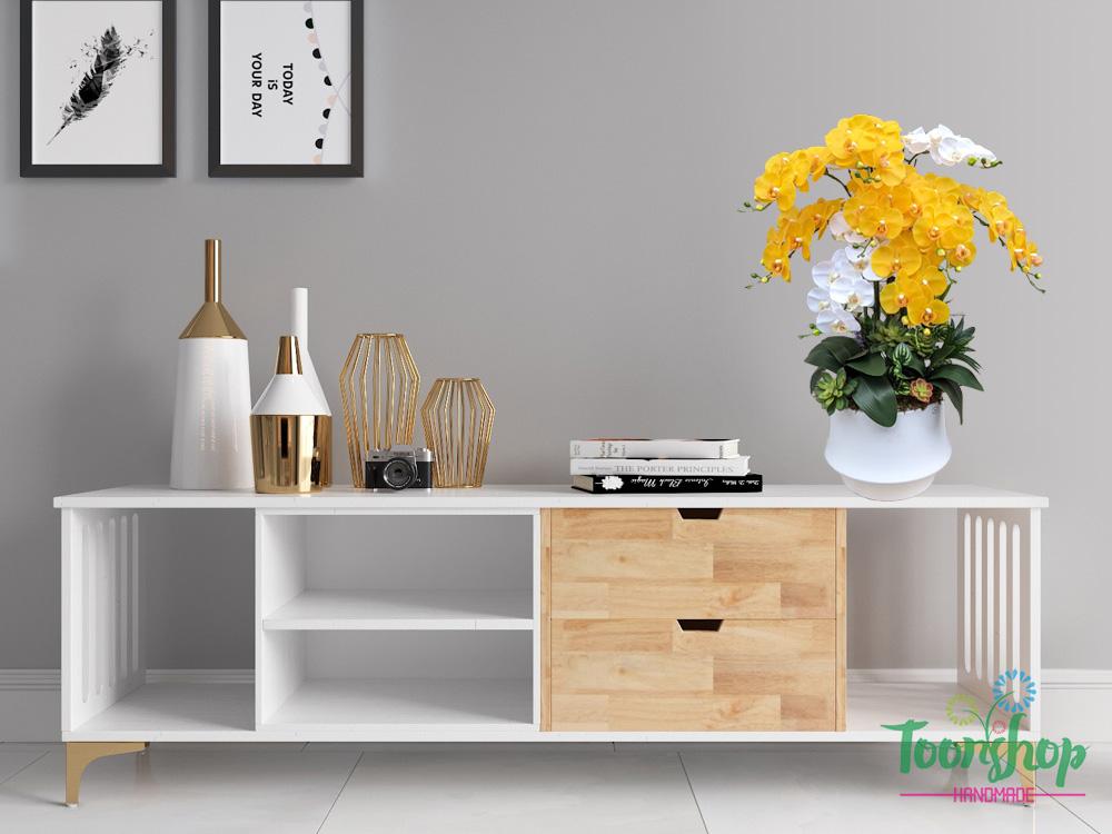 Chậu lan hồ điệp màu vàng đặt trên kệ phòng khách
