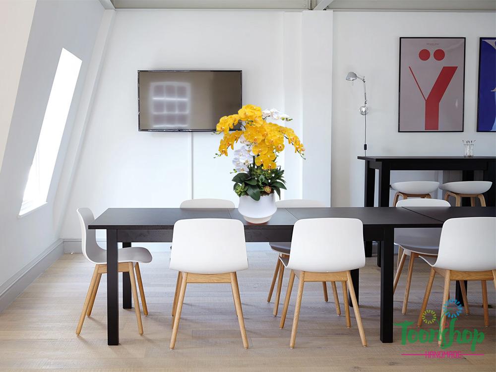 Lan hồ điệp màu vàng làm nổi bật không gian phòng họp