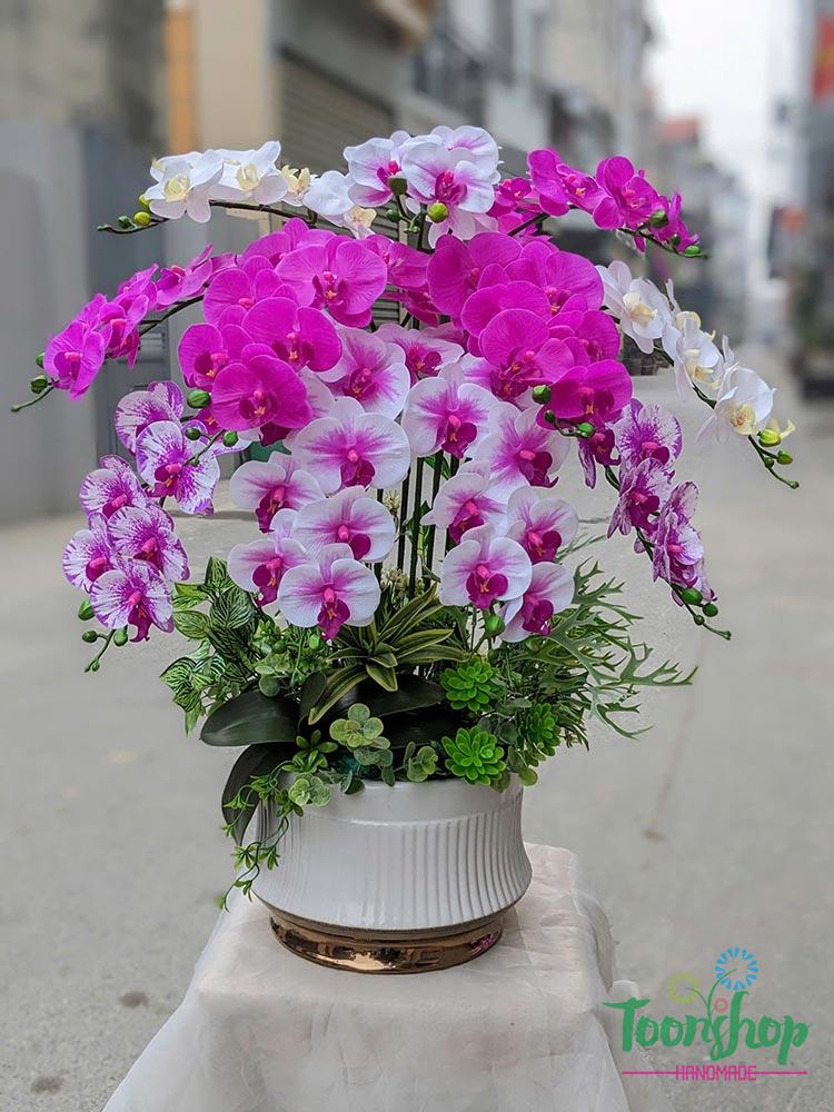 Chậu lan hồ điệp cao su cao cấp 11 cành màu hồng mix trắng 