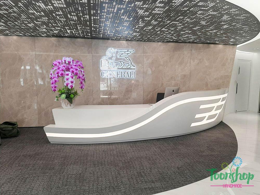 Chậu lan hồ điệp cao su non quầy lễ tân khách sạn