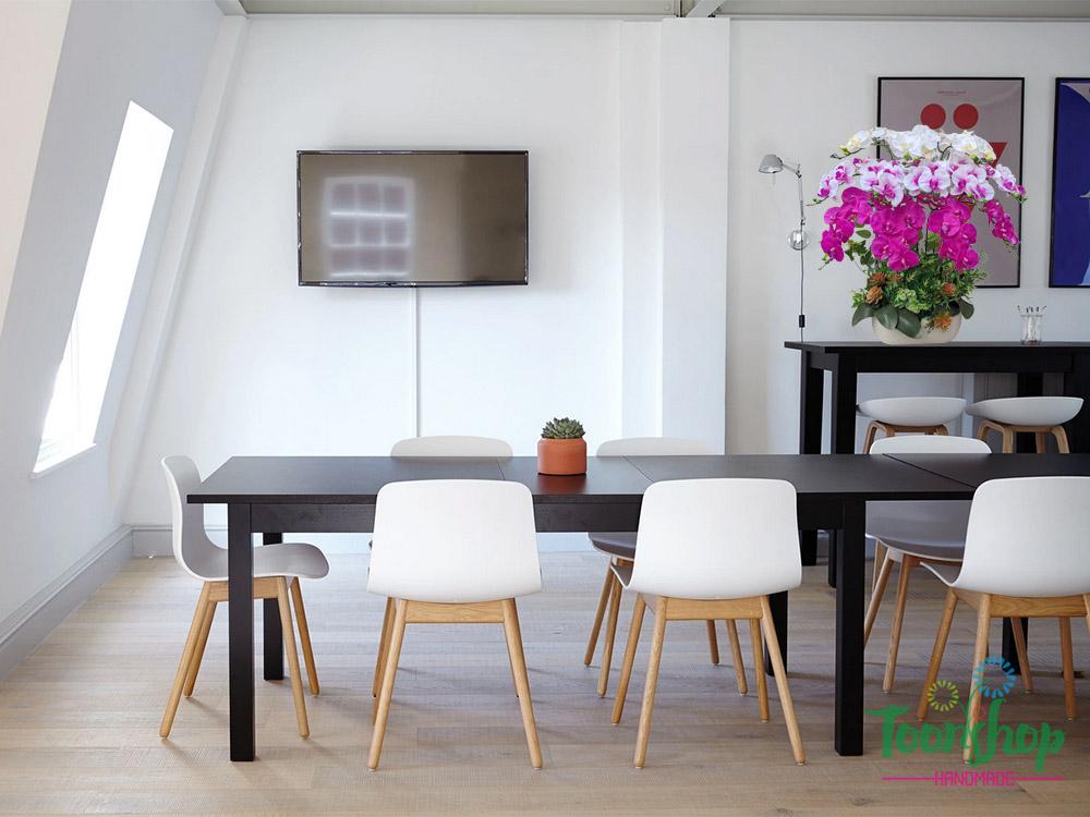 Chậu lan hồ điệp cao su non bầy tại phòng họp công ty