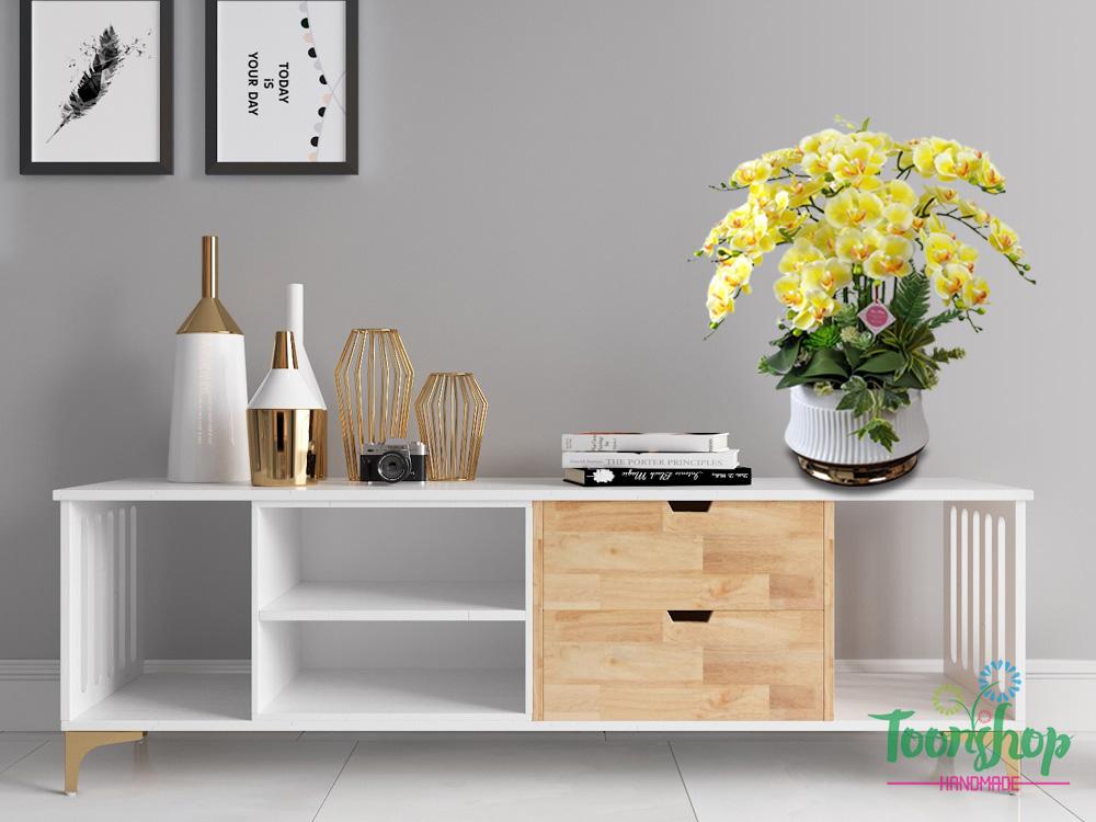 Lan hồ điệp vàng nổi bật trên kệ trắng