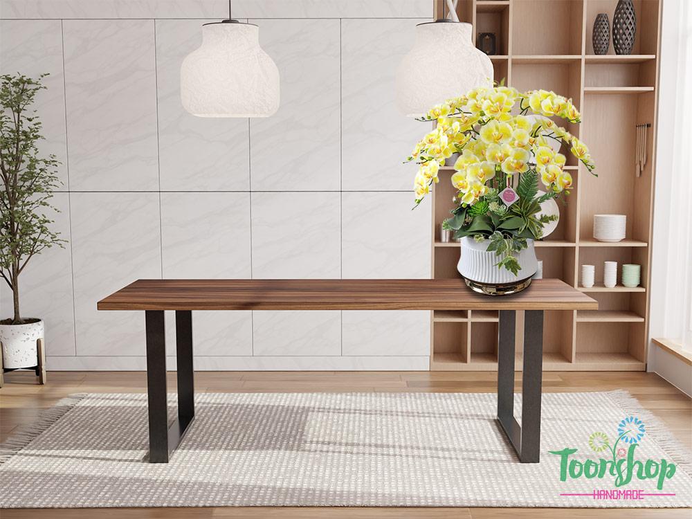 Chậu lan hồ điệp vàng bầy trên bàn