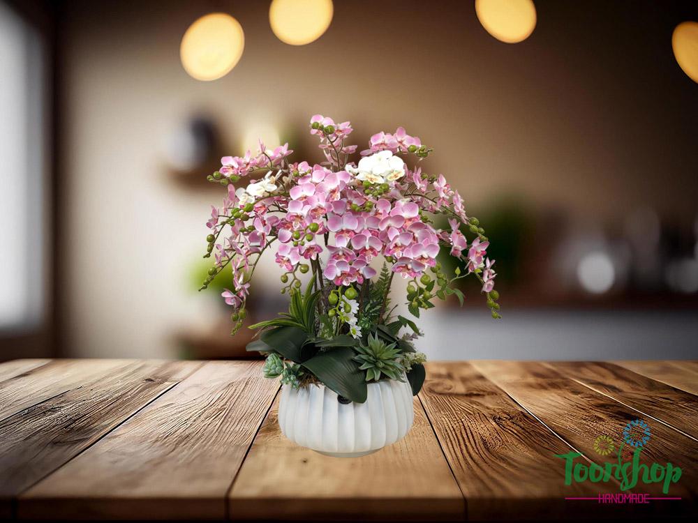 Chậu lan tiểu hồ điệp nhí màu hồng ấn tượng từ cái nhìn đầu tiên