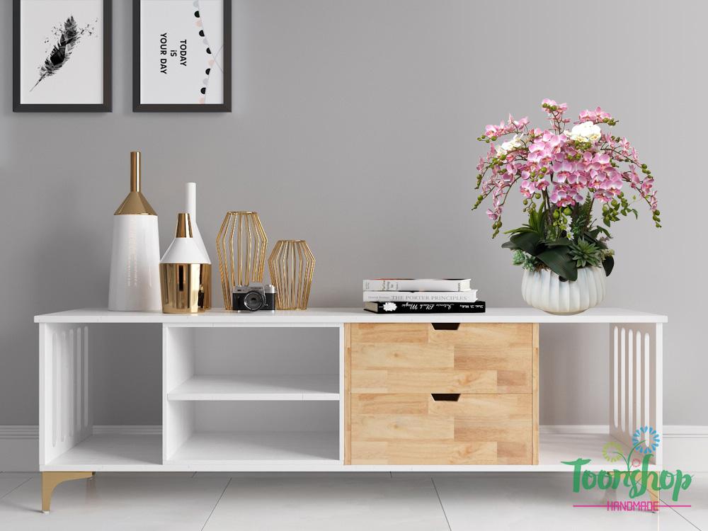 Chậu lan hồ điệp nhí màu hồng bầy trên kệ tivi
