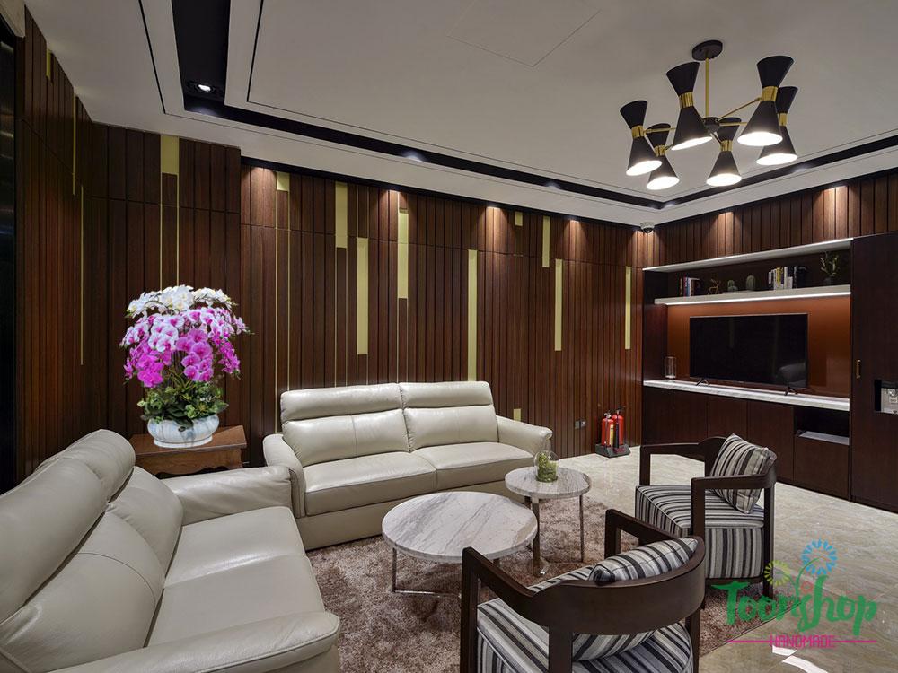 Chậu lan hồ điệp cao su đặt trong không gian phòng khách