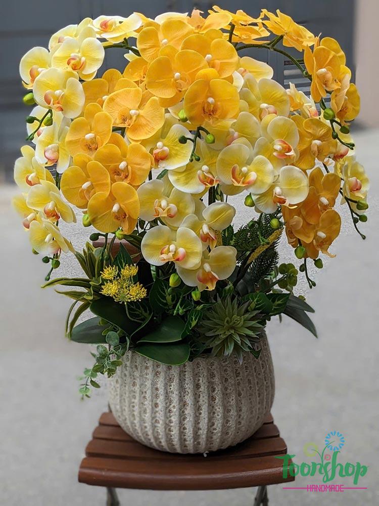 Bình lan hồ điệp cao su cao cấp màu vàng