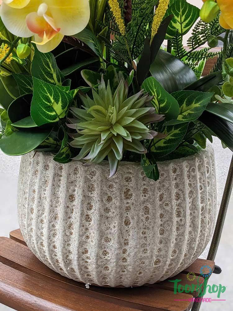 Chậu cắm lan hồ điệp là chậu gốm men nổ độc đáo