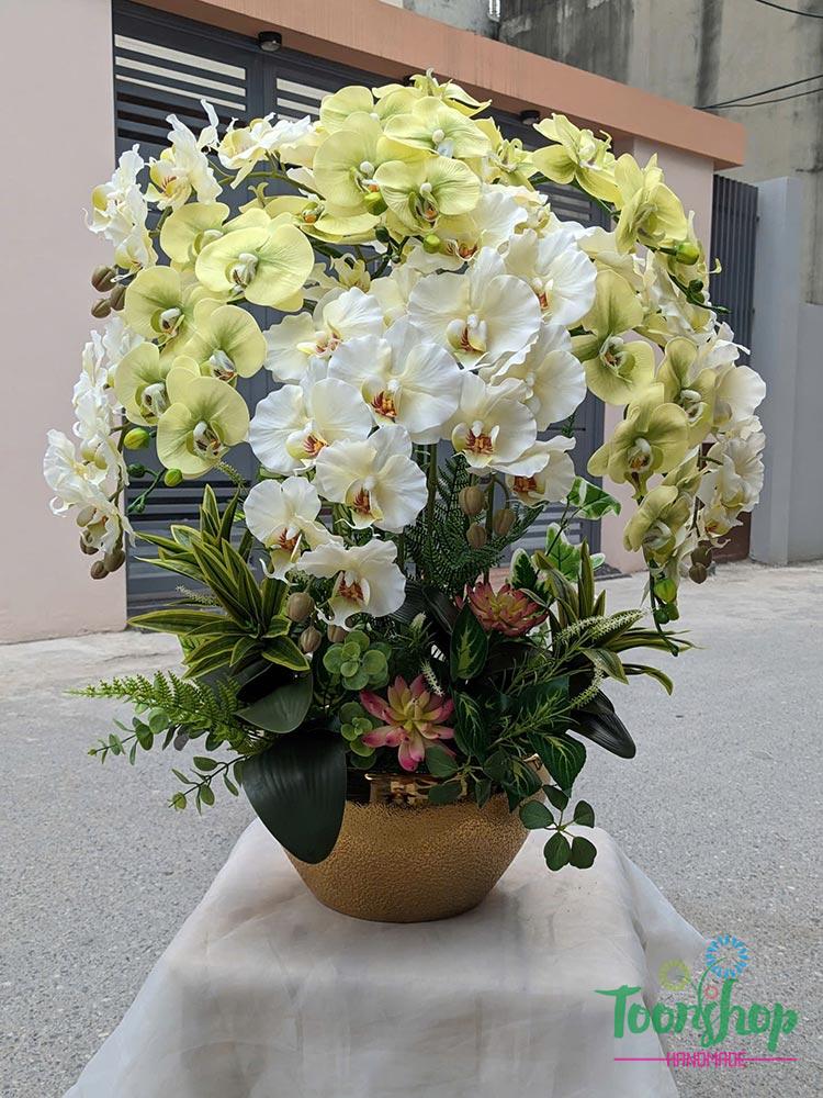 Bình hoa lan hồ điệp cao su màu xanh bơ