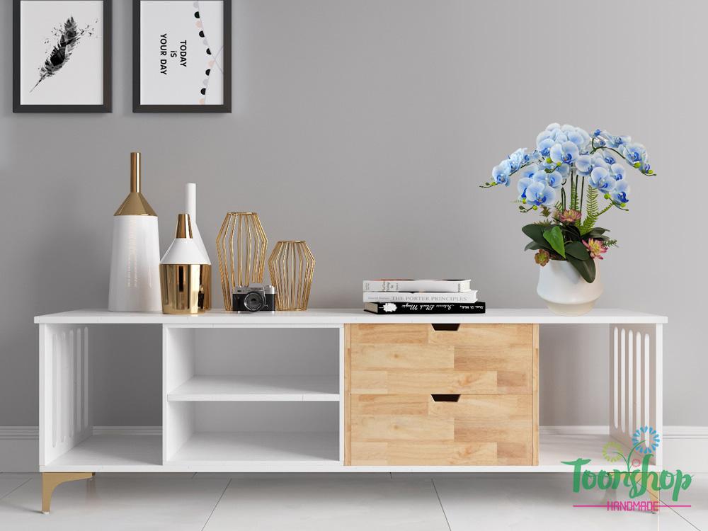 Lan hồ điệp màu xanh biển tạo nên điểm nhấn ấn tượng