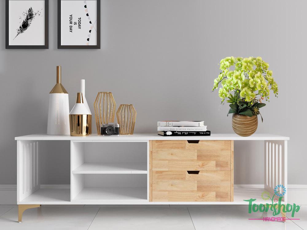 Chậu lan hồ điệp màu xanh cốm đặt trên kệ Tivi