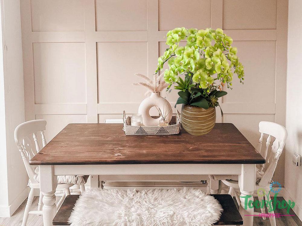 Chậu lan hồ điệp màu xanh cốm đặt trên bàn
