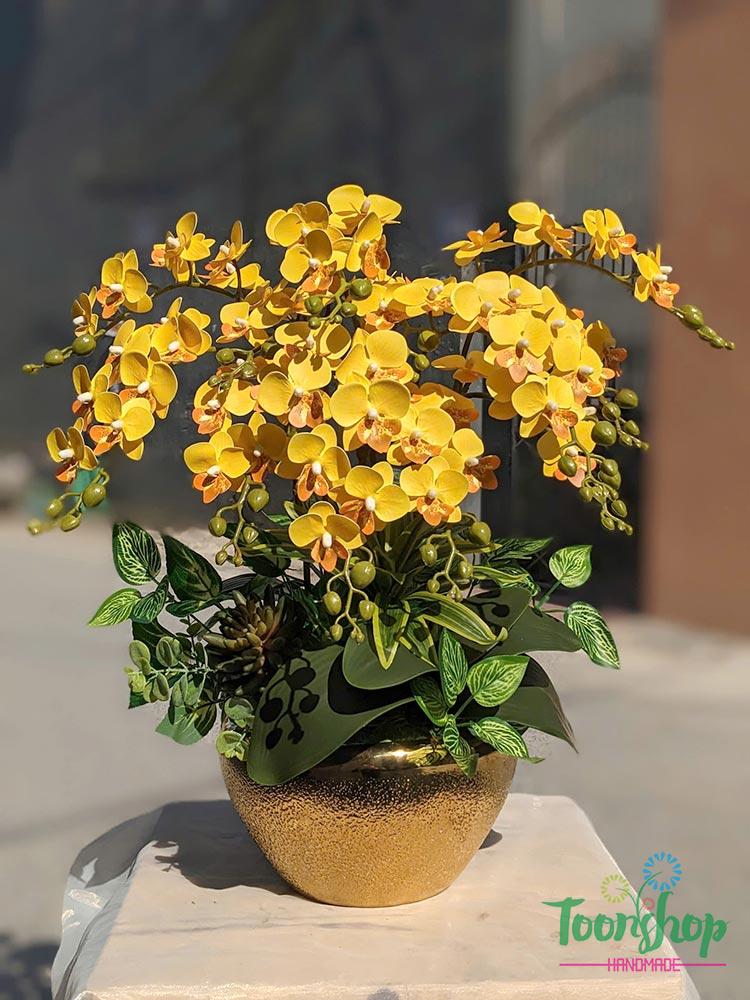 Chậu lan tiểu hồ điệp giả màu vàng