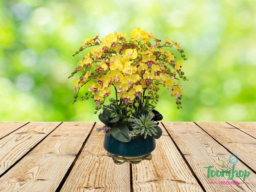 Chậu lan tiểu hồ điệp vàng Nắng Xuân sắc vàng ấm áp
