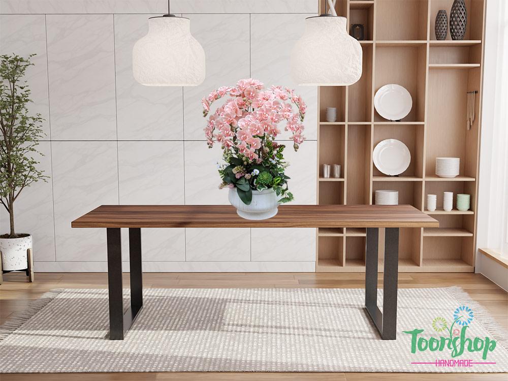 Chậu lan xoăn hồ điệp màu hồng cam tạo nên điểm nhấn ấn tượng