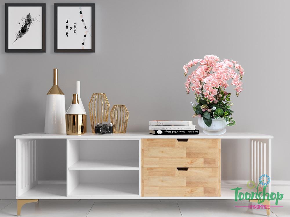 Chậu lan xoăn hồ điệp màu hồng cam bầy trên kệ