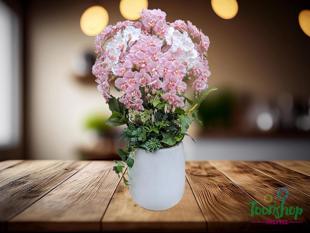 Chậu lan hồ điệp xoăn màu hồng mix trắng nổi bật và sang trọng