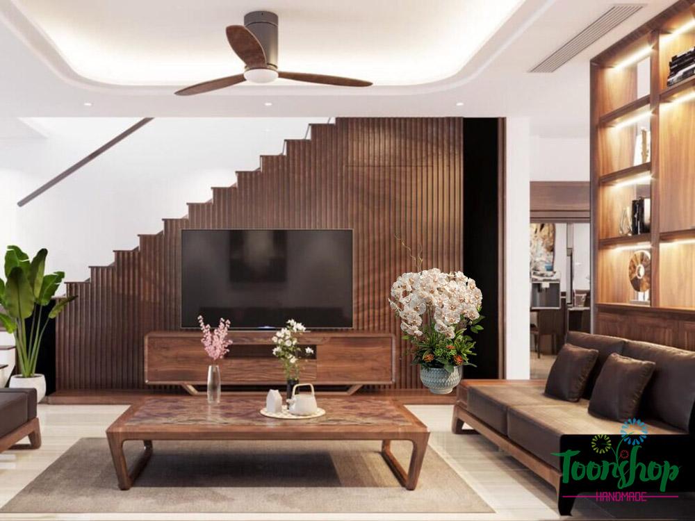 Chậu lan hồ điệp cánh xoăn đặt cạnh tivi phòng khách