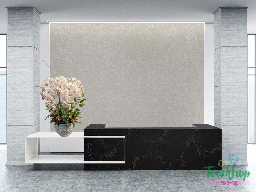 Chậu lan hồ điệp cánh xoăn bầy trên quầy lễ tân