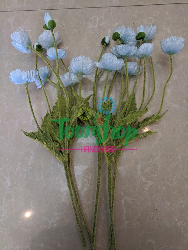 Cụm hoa anh túc xanh 01