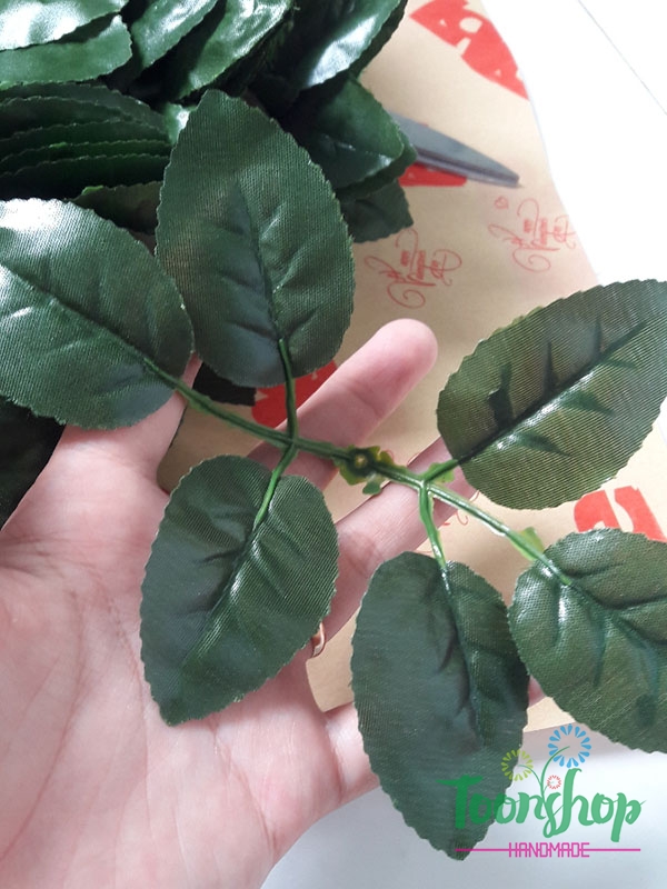 Lá hồng vải gân nhựa