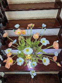 Lọ hoa anh túc xanh hồng 02