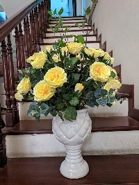 Bình hoa hồng David Sunshine vàng 01