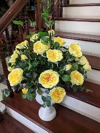 Bình hoa hồng David Sunshine vàng 02