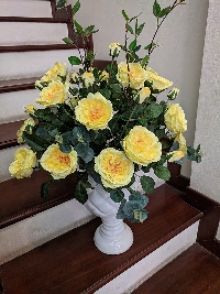 Bình hoa hồng David Sunshine vàng 03