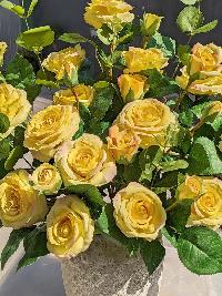 Bình hoa hồng vàng chất liệu hoa lụa