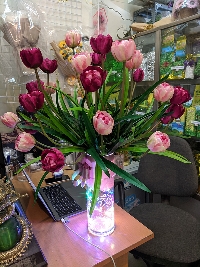 Bình hoa tulip vàng và hồng đậm 01