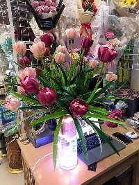 Bình hoa tulip vàng và hồng đậm 03
