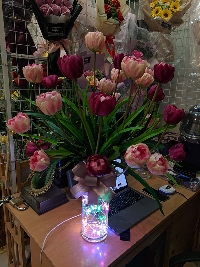 Bình hoa tulip vàng và hồng đậm 04