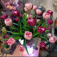 Bình hoa tulip vàng và hồng đậm
