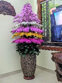 Chậu lan hồ điệp giả cao cấp 7 tầng