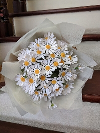 Bó cúc nhí Tình Yêu Bé Nhỏ 02