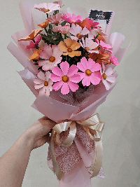 Boa hoa sao nháy cánh bướm mùa xuân